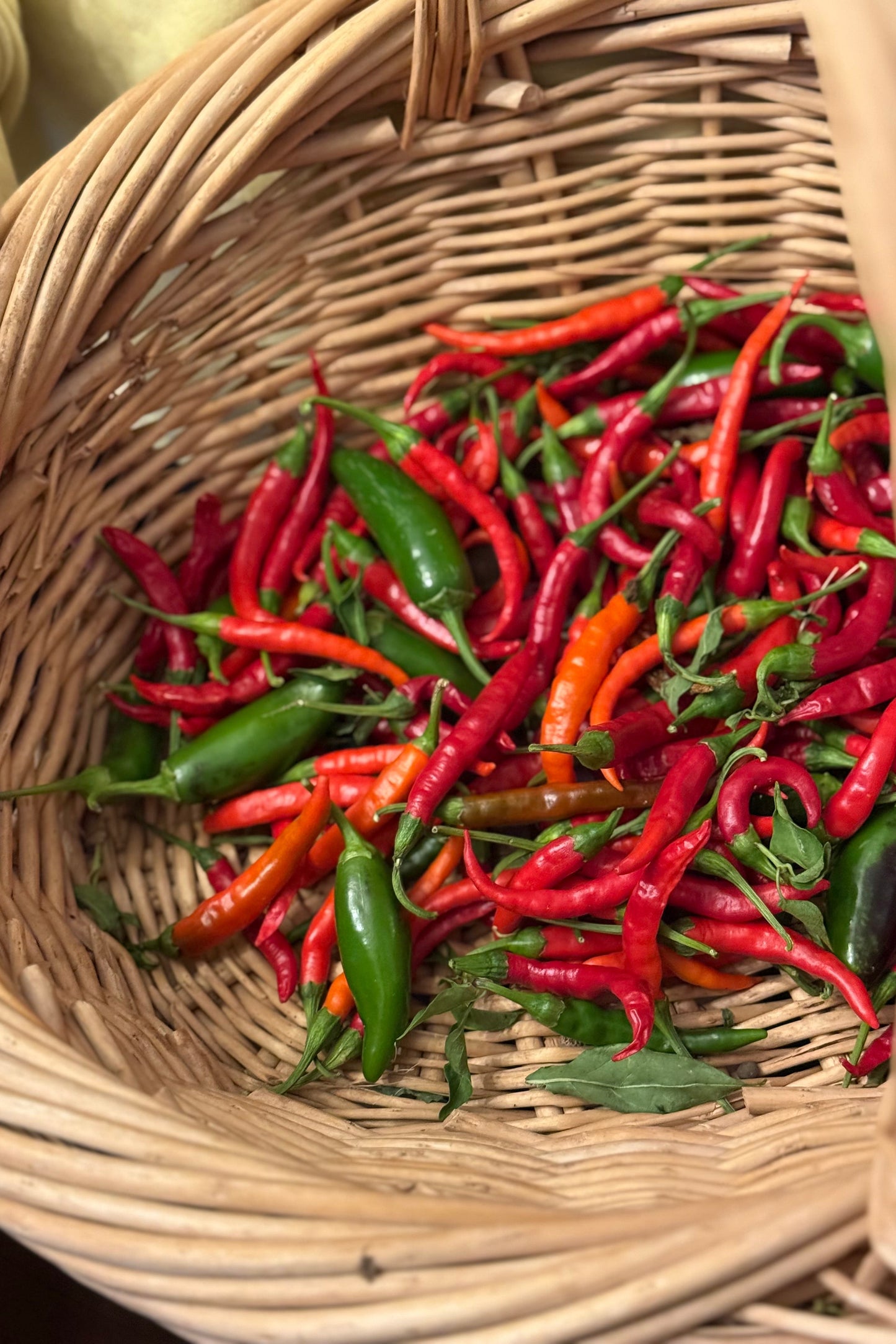Six Stings | Farm-Raised Hot Honey