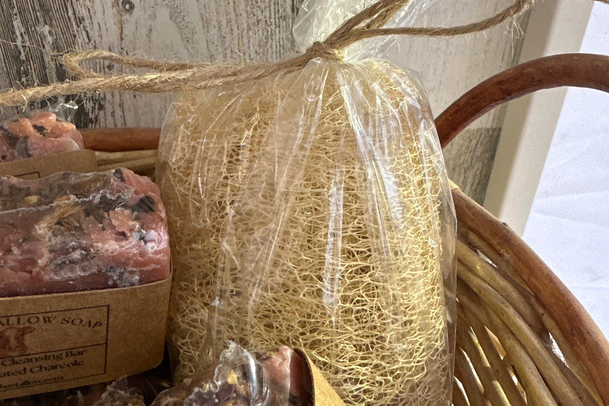 Luffa Sponge