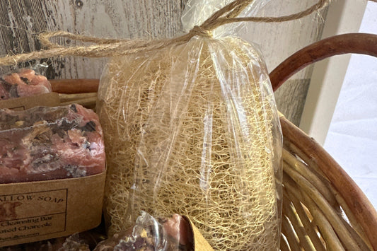 Luffa Sponge